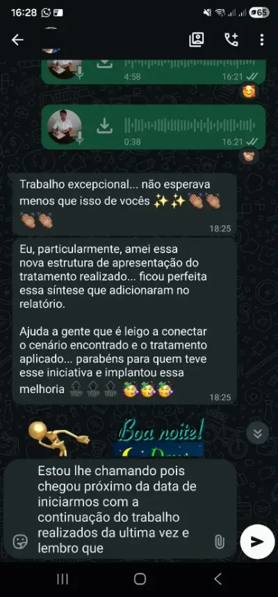 Depoimento sobre a nova estrutura do relatório entregue